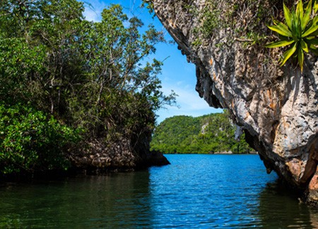 Los Haitises National Park Tour from Las Terrenas, Samana.