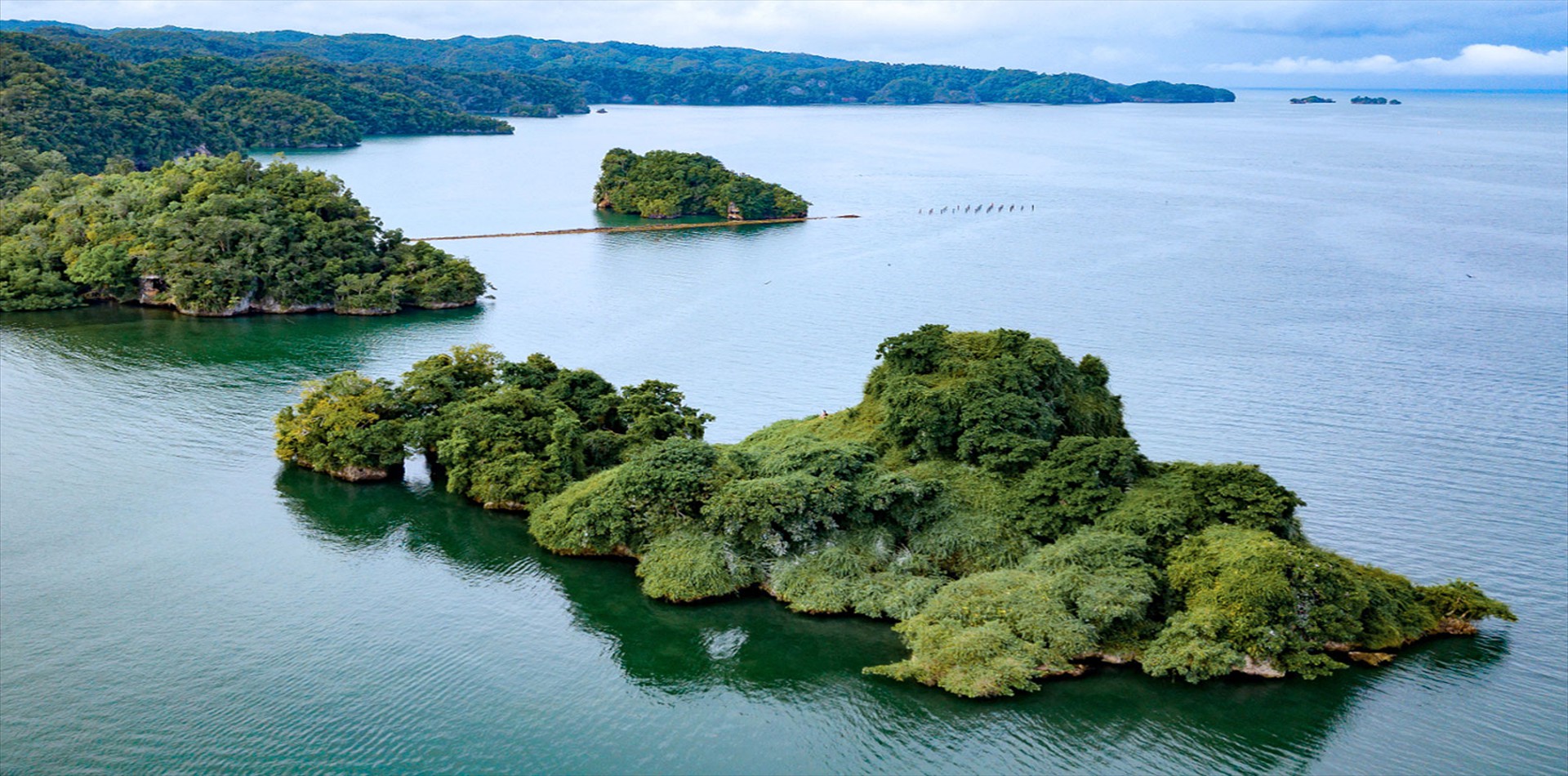 Los Haitises Park Tour