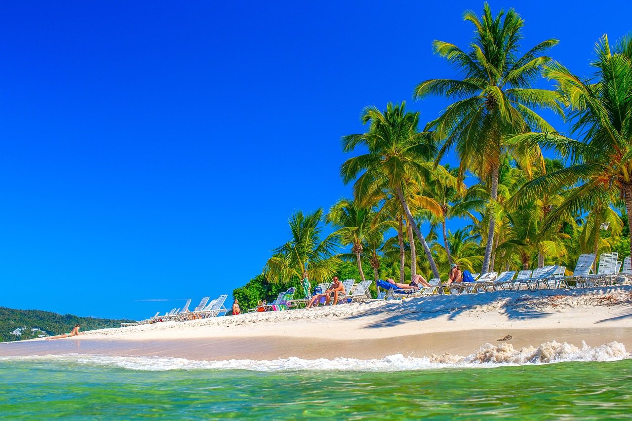 Palm-lined beach seen from the air